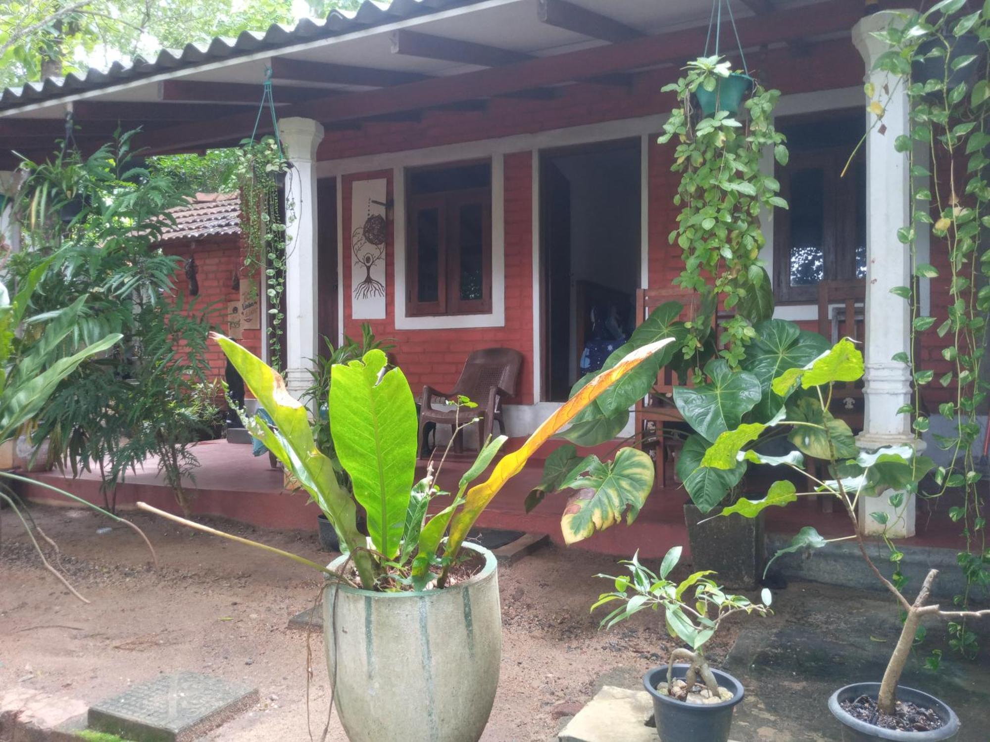 Angry Birds Homestay Habarana Zimmer foto